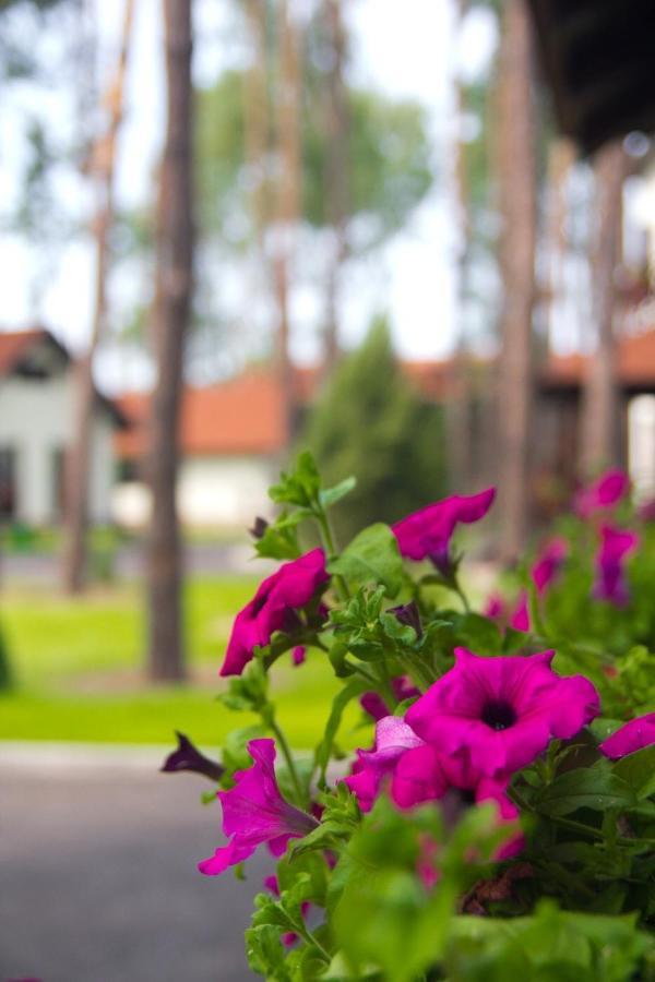 Park-Hotel Kidev Chubynske Zewnętrze zdjęcie