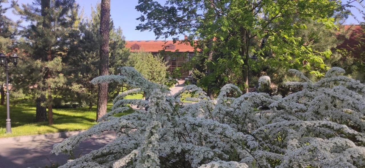 Park-Hotel Kidev Chubynske Zewnętrze zdjęcie