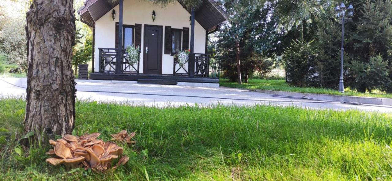 Park-Hotel Kidev Chubynske Zewnętrze zdjęcie