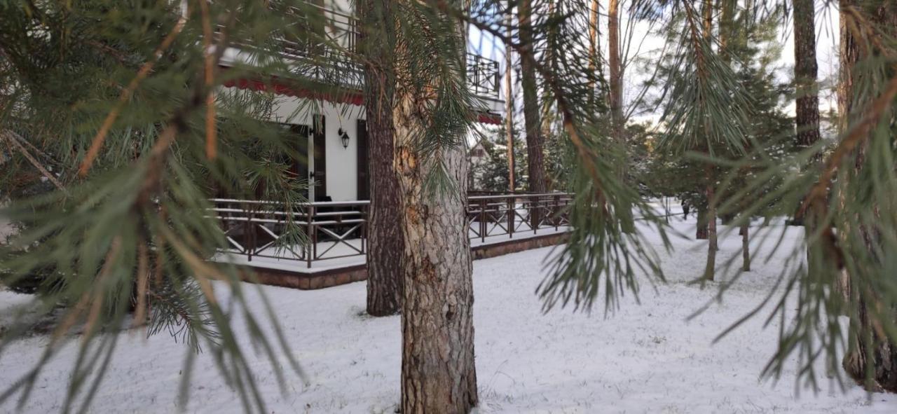 Park-Hotel Kidev Chubynske Zewnętrze zdjęcie